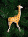 Жираф(вата)
